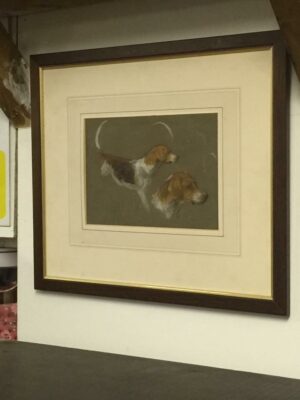 Fox Hounds