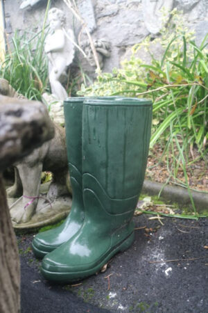 Green Wellie planters