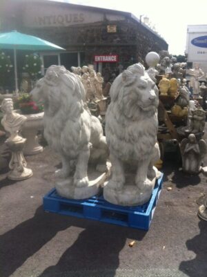 Sitting Lion