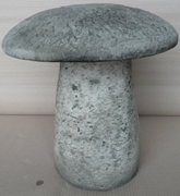 Standing Stone Mushroom