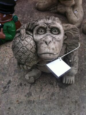 Stone Monkey